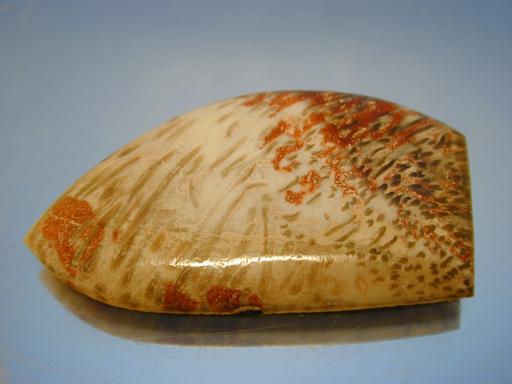 Chalcedony image.