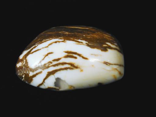 Opal image.