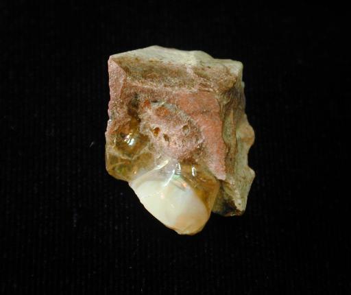 Opal image.