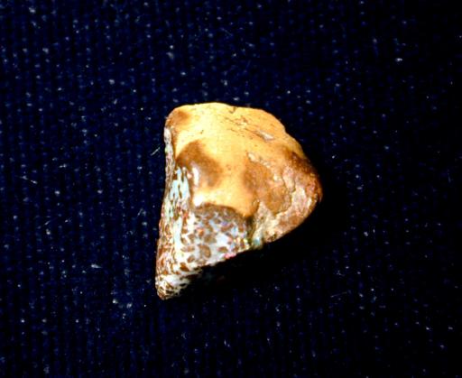 Opal image.