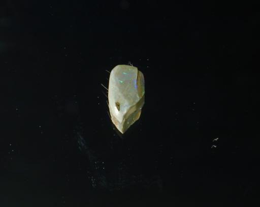 Opal image.