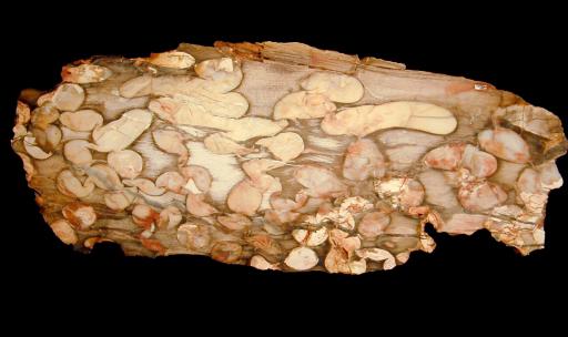 Chalcedony image.