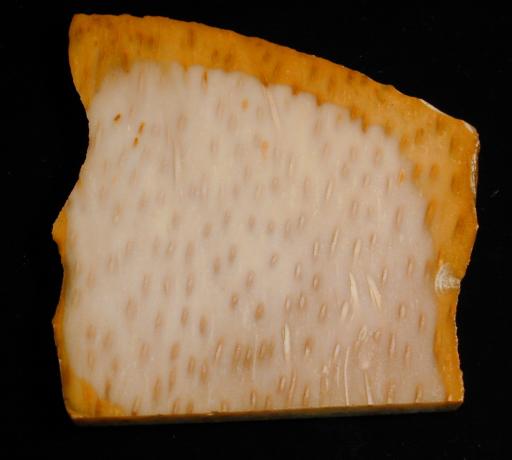 Chalcedony image.