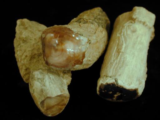 Chalcedony image.