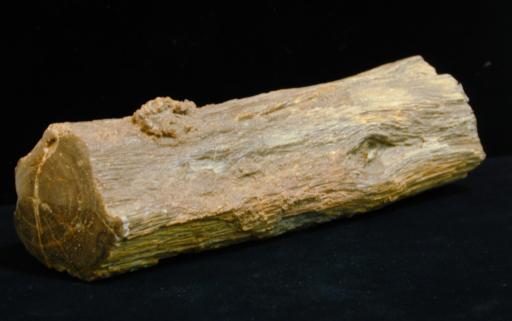 Chalcedony image.