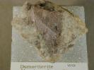 Dumortierite image.