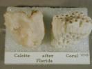 Calcite image.