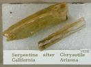 Serpentine image.