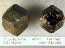 Prochlorite image.