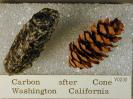 Carbon image.