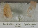 Lepidolite image.