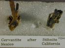 Cervantite image.