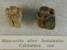 Muscovite image.