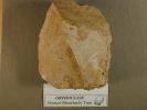 Orthoclase image.