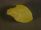 Sulfur image.