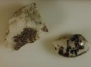 Quartz image.