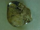 Quartz image.