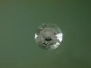 Quartz image.