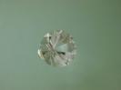 Quartz image.