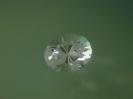 Quartz image.