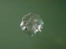Quartz image.
