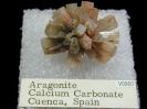 Aragonite image.