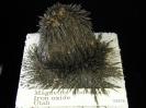 Magnetite image.
