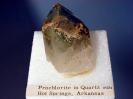 Prochlorite image.