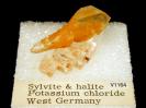 Sylvite image.