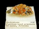 Hedyphane image.
