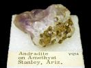 Garnet image.