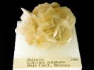 Gypsum image.