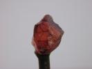 Garnet image.