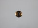 Cassiterite image.