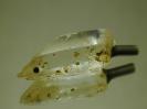 Quartz image.