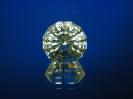 Quartz image.