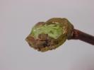 Olivine image.