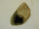 Chalcedony image.