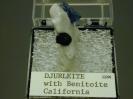 Djurleite image.