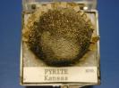 Pyrite image.