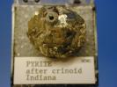 Pyrite image.