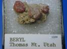 Beryl image.