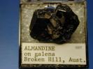Garnet image.