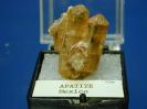 Apatite image.