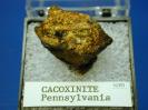 Cacoxinite image.