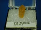 Eosphorite image.