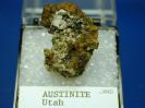 Austinite image.