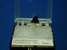 Chambersite image.
