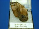 Sussexite image.