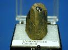 Lyndochite image.